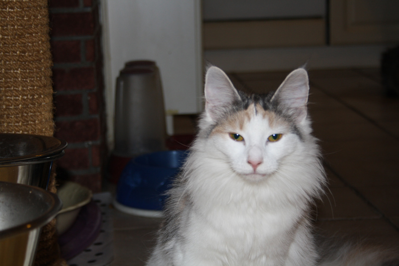 Donna_250111_IMG_1171_kl