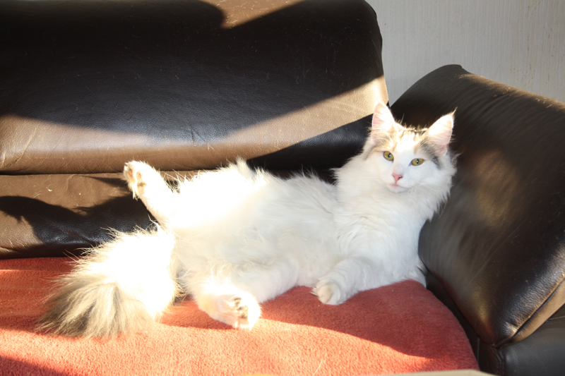 Donna_280311_IMG_1325_kl