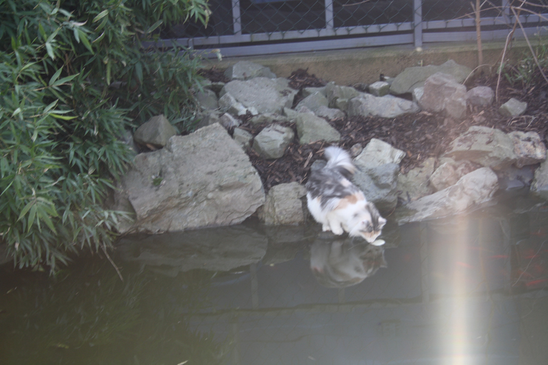 Donna_280311_IMG_1375_kl