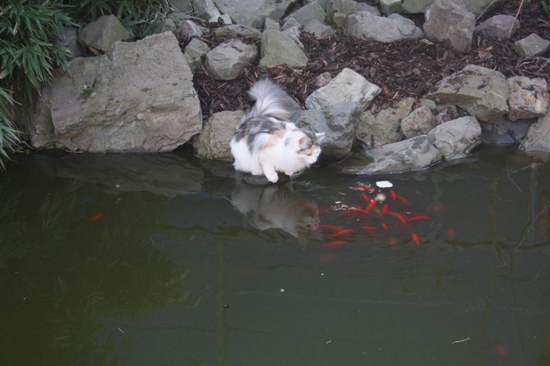 Donna_280311_IMG_1377_kl