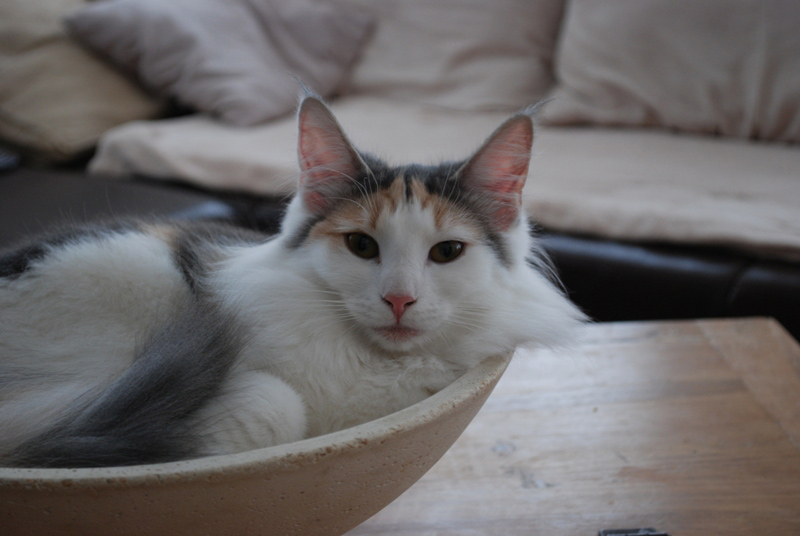 Donna_Jan11_DSC_7564