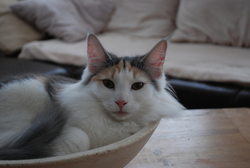 Donna_Jan11_DSC_7565