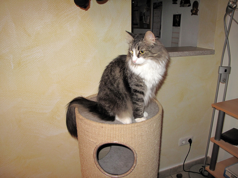 Dooley_080810_IMG_0645_kl