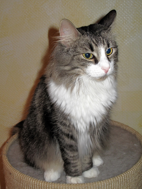 Dooley_080810_IMG_0646_kl