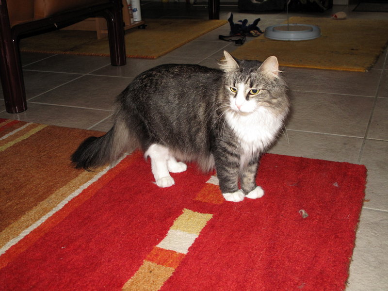 Dooley_080810_IMG_0648_kl