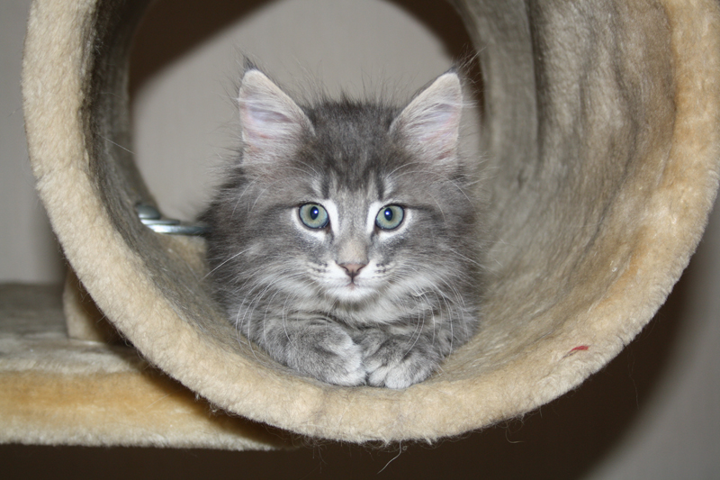 Duncan_010810_IMG_0507_kl