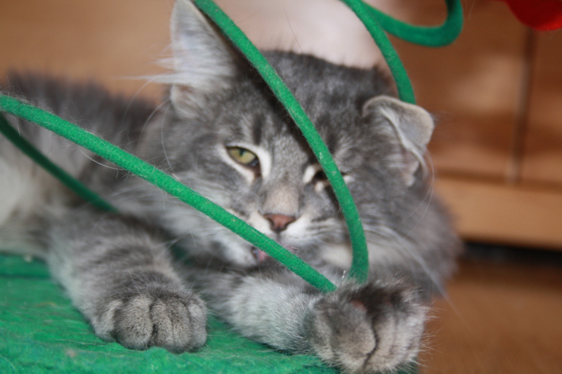 Duncan_011010_IMG_0970_kl