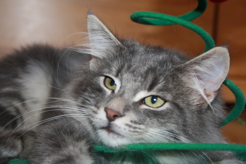 Duncan_011010_IMG_0972_kl