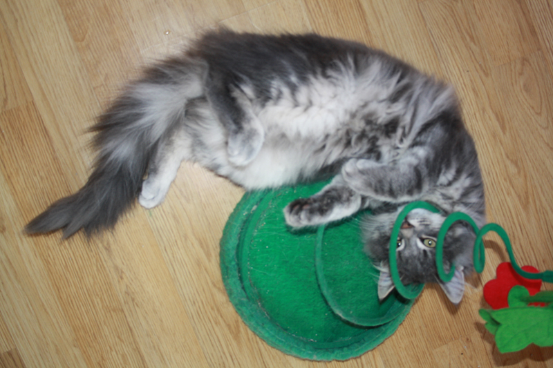 Duncan_011010_IMG_0973_kl