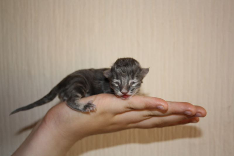 Duncan_020610_IMG_0095_kl