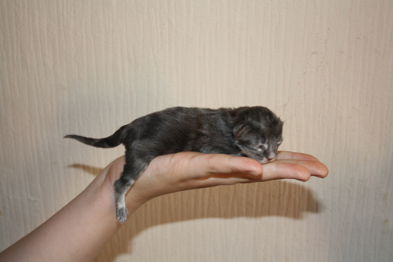 Duncan_020610_IMG_0097_kl