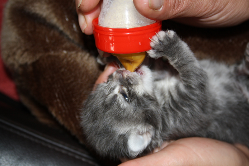 Duncan_0610_IMG_0185_kl