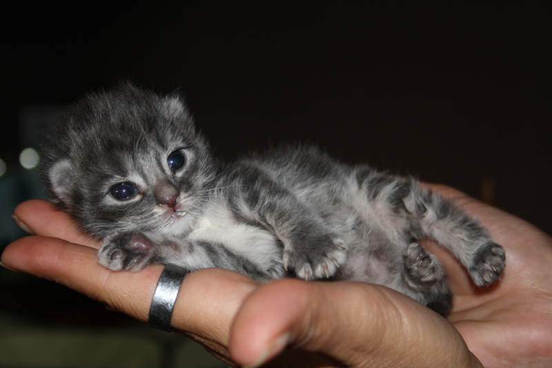 Duncan_0610_IMG_0191_kl