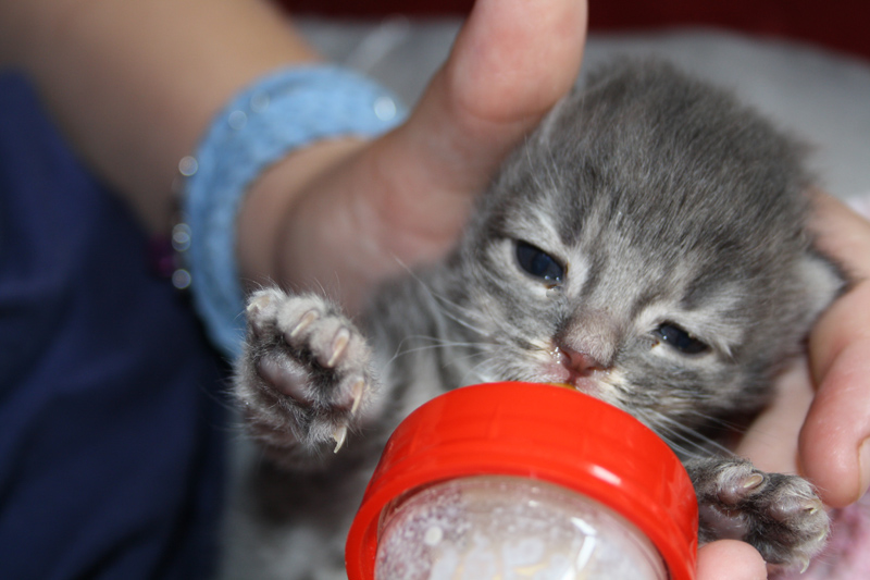 Duncan_0610_IMG_0215_kl