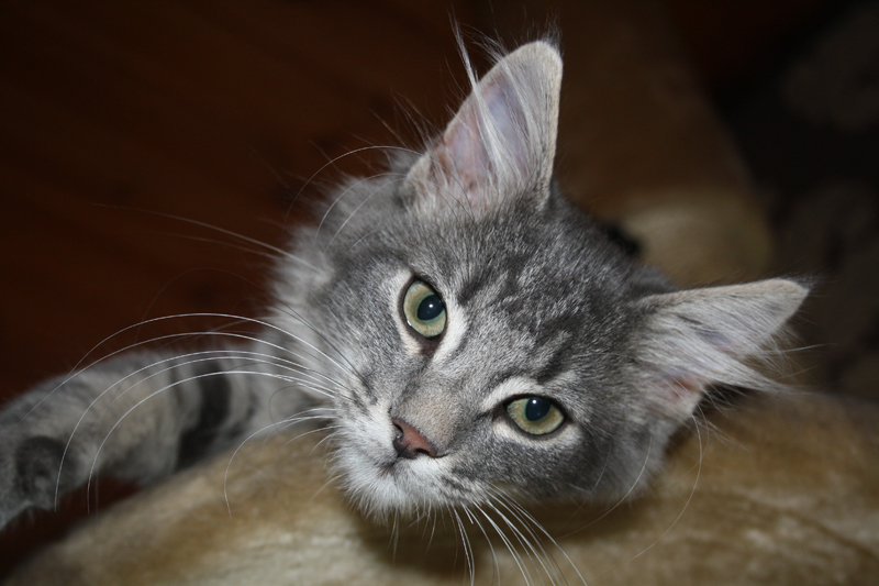 Duncan_090910_IMG_0773_kl