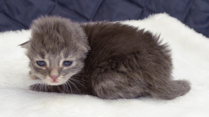 Duncan_110610_D105206_kl