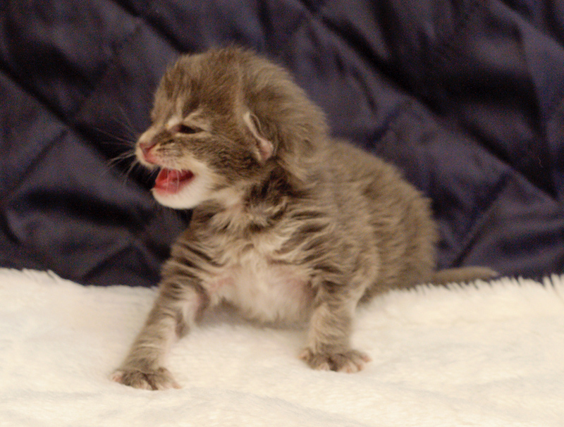 Duncan_110610_D105207_kl