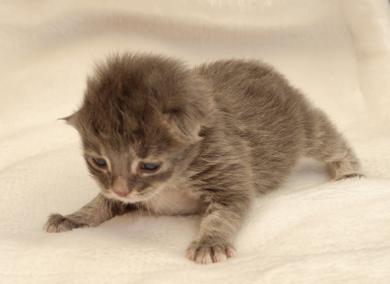 Duncan_110610_D105212_kl