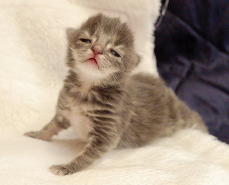 Duncan_110610_D105216_kl