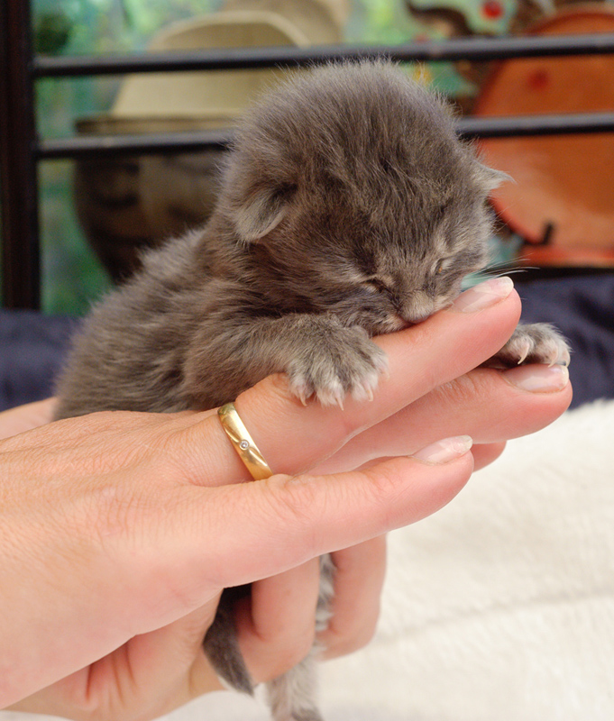 Duncan_110610_D105217_kl