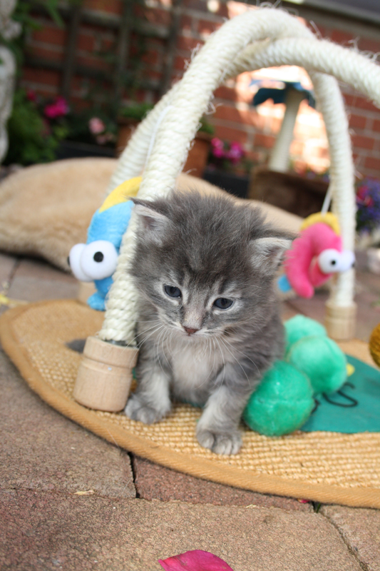 Duncan_110710_IMG_0319_kl