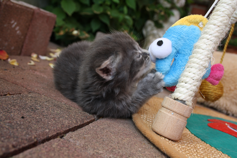 Duncan_110710_IMG_0321_kl