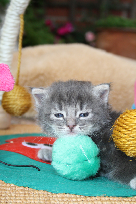 Duncan_110710_IMG_0326_kl