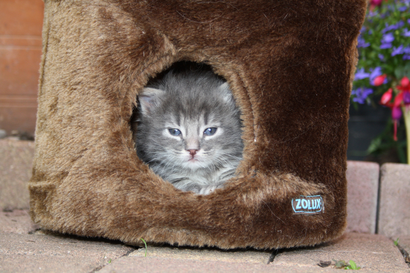 Duncan_110710_IMG_0338_kl