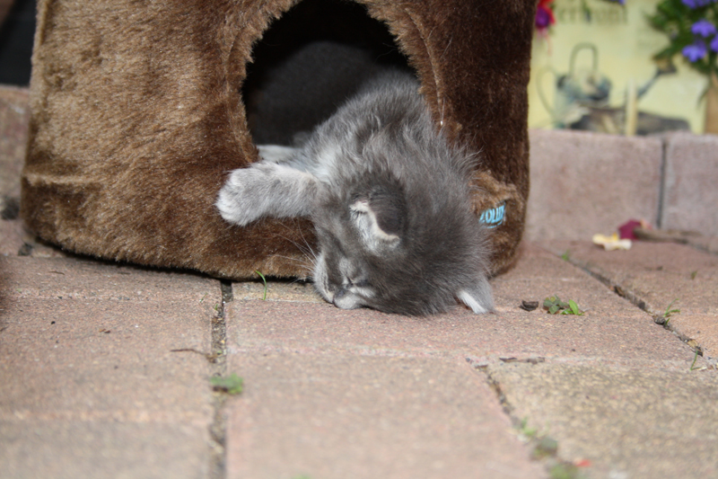 Duncan_110710_IMG_0347_kl