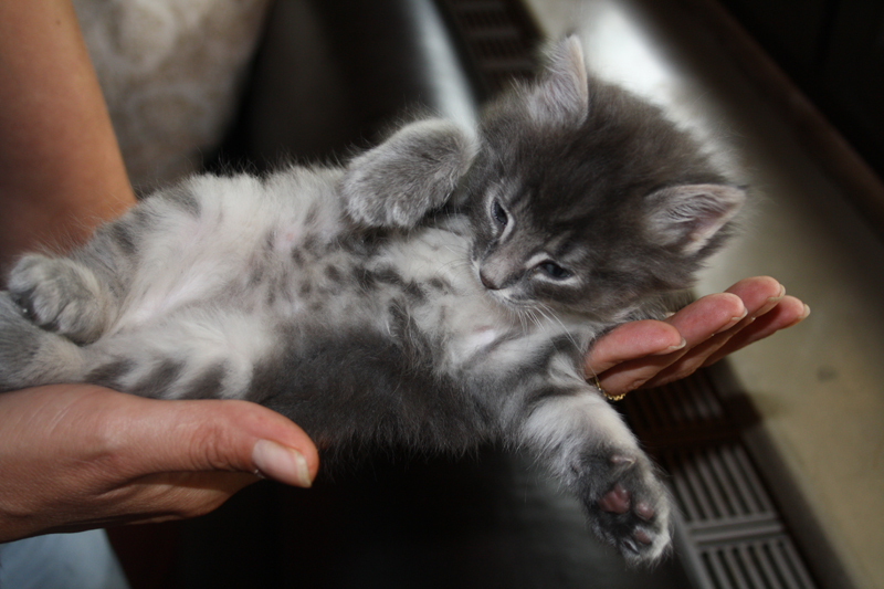 Duncan_110710_IMG_0372_kl