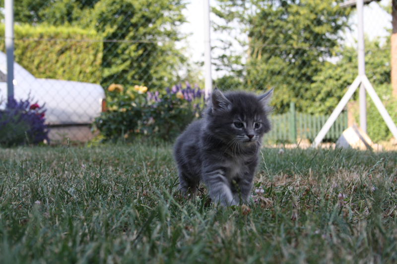 Duncan_110710_IMG_0395_kl