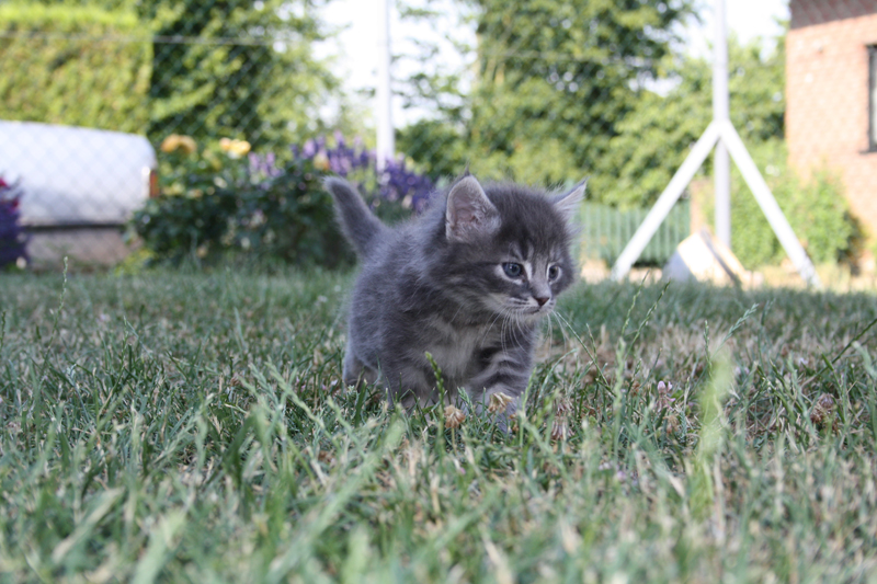 Duncan_110710_IMG_0396_kl