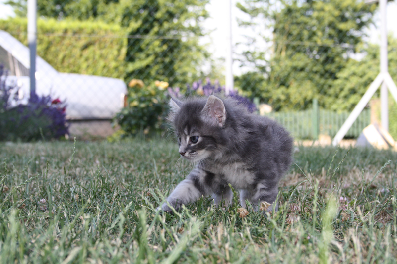 Duncan_110710_IMG_0397_kl02