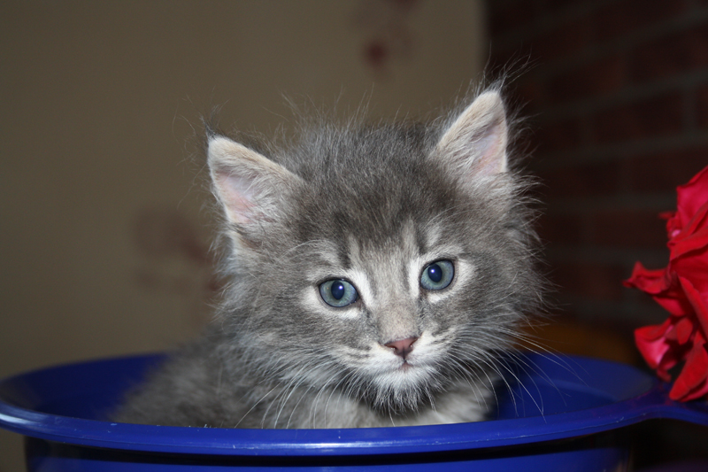 Duncan_110710_IMG_0403_kl