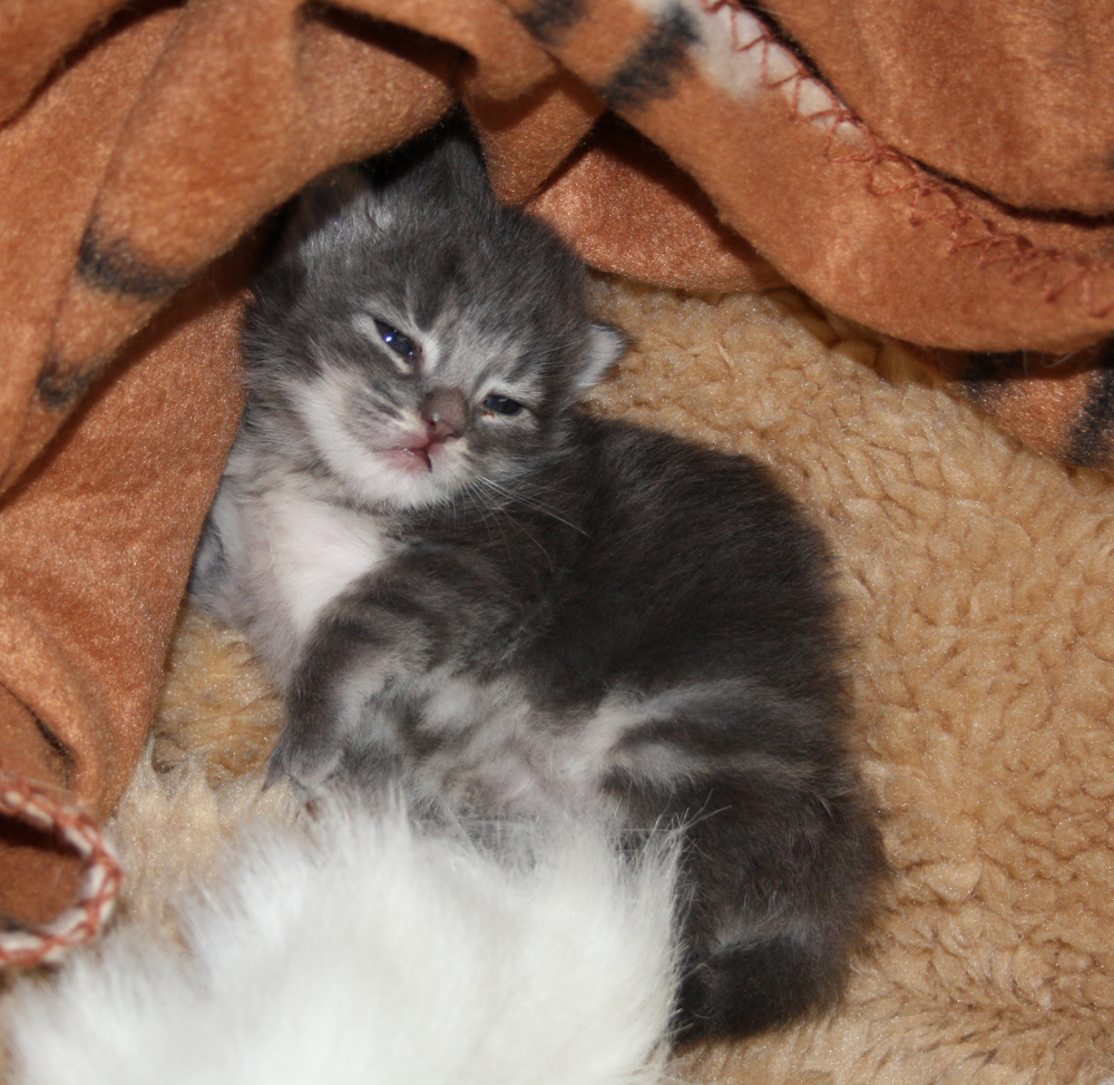 Duncan_220610_IMG_0225_kl