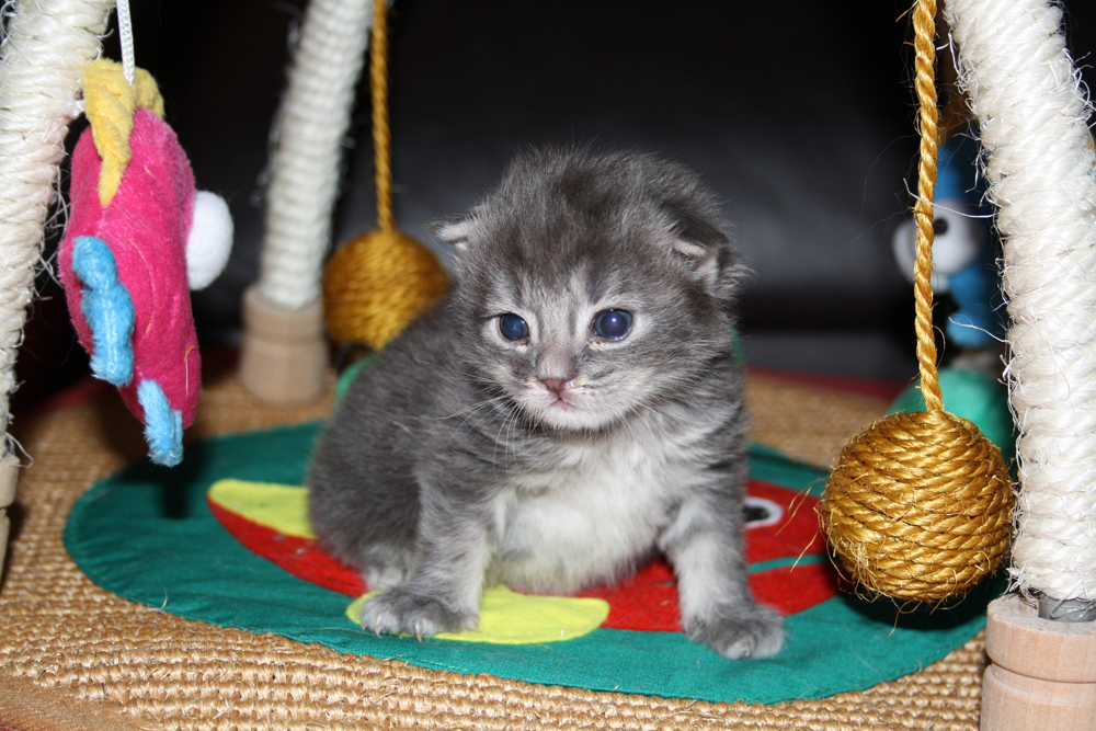 Duncan_220610_IMG_0246_kl