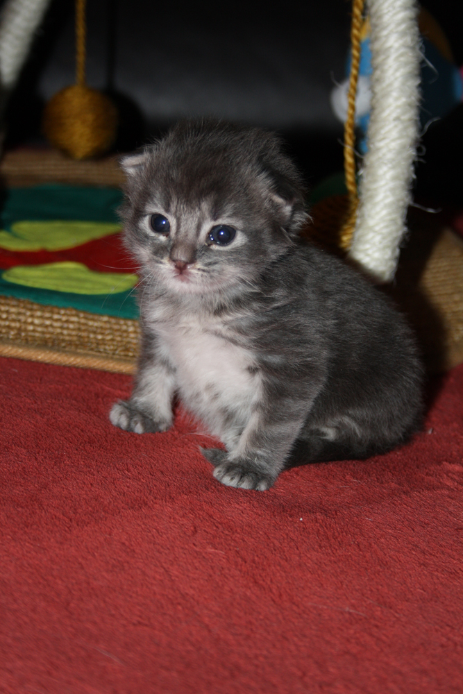 Duncan_220610_IMG_0251_kl