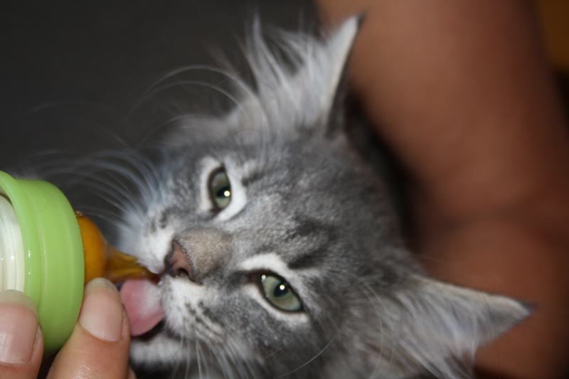 Duncan_220810IMG_0668_kl