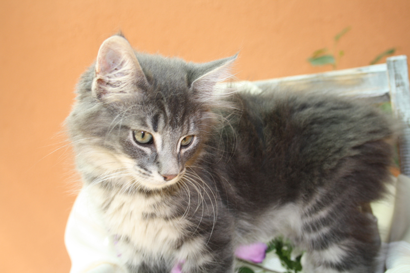 Duncan_220810_IMG_0660_kl