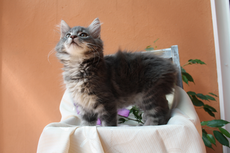 Duncan_220810_IMG_0661_kl