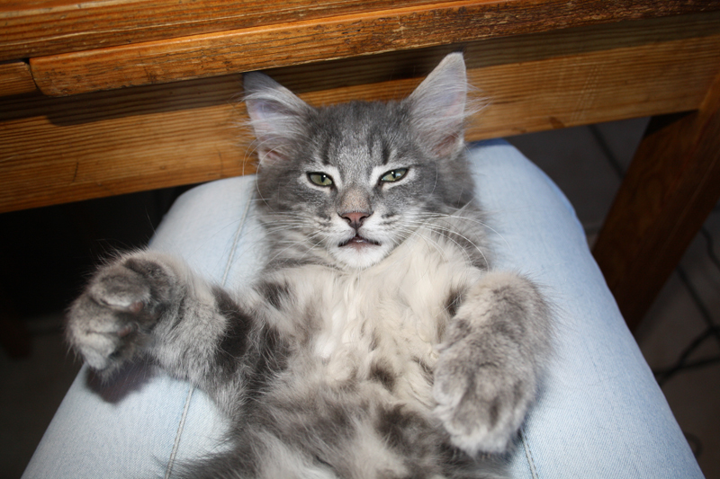 Duncan_220810_IMG_0672_kl