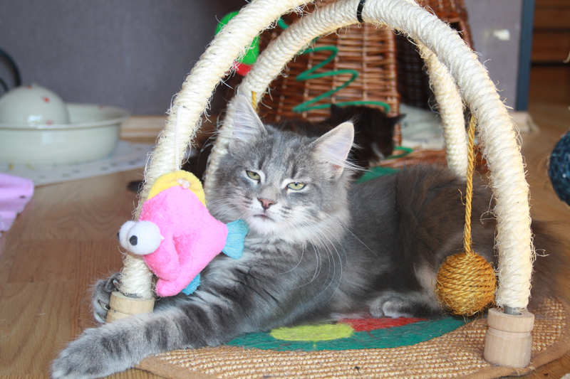 Duncan_220910_Neues Bild_kl