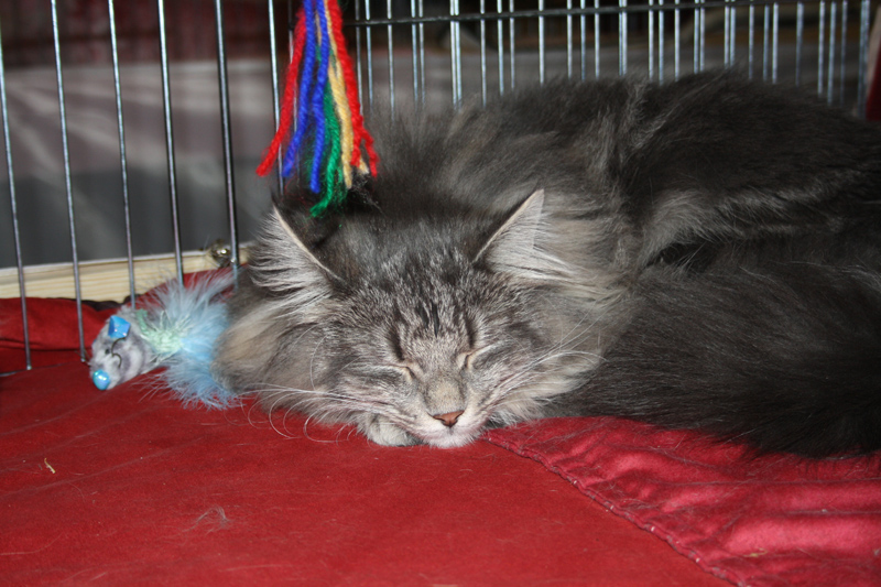 Duncan_230111_IMG_1185_kl