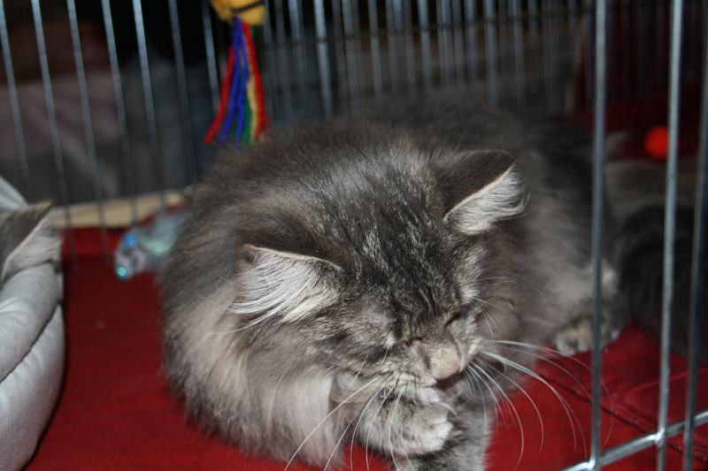 Duncan_230111_IMG_1188_kl