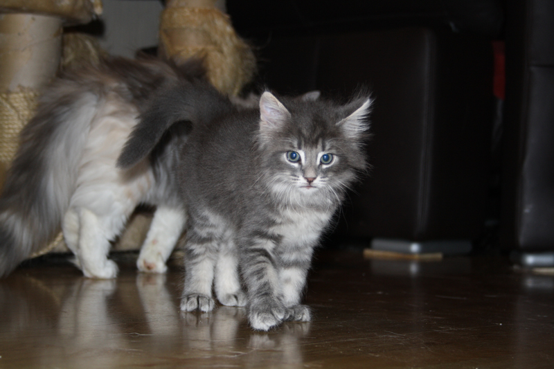 Duncan_260710_IMG_0461_kl