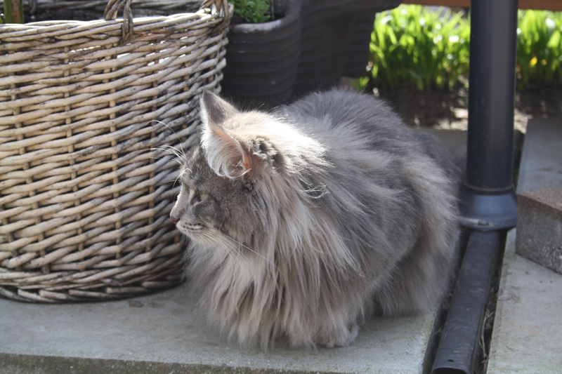 Duncan_280311_IMG_1336_kl