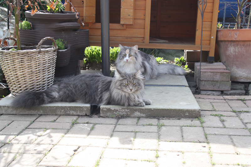 Duncan_280311_IMG_1354_kl