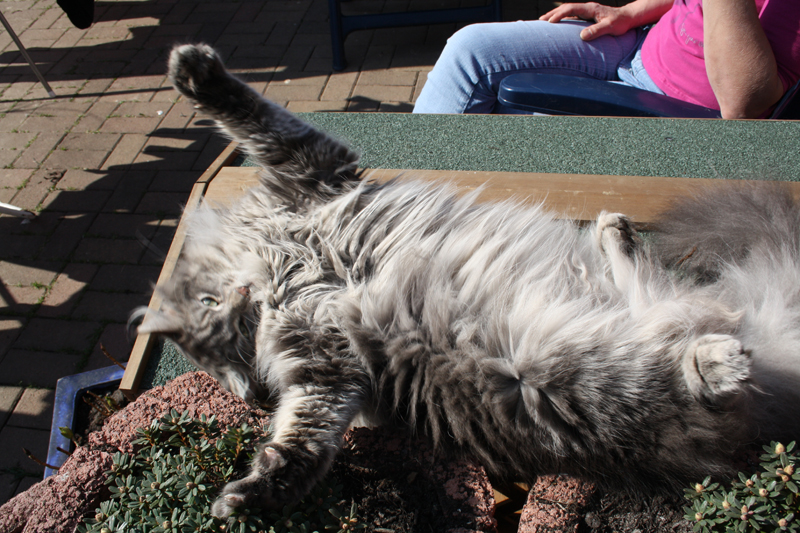 Duncan_280311_IMG_1440_kl