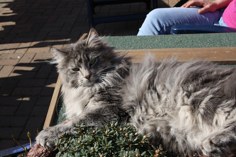 Duncan_280311_IMG_1441_kl