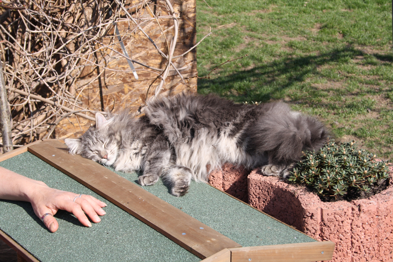 Duncan_280311_IMG_1448_kl